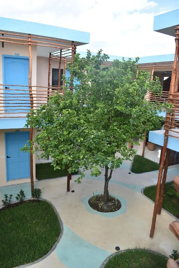Luna Azul By Uvas Cozumel Mexico