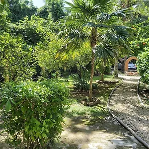 Villa Mini Pini Bird Watching Loft
